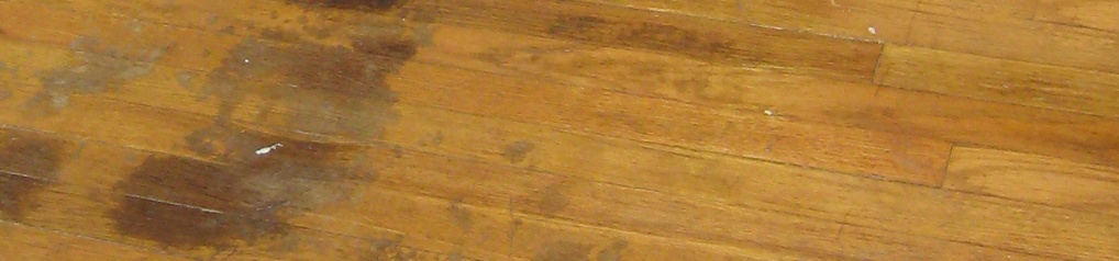 de vloer experts houten vloer vlekken